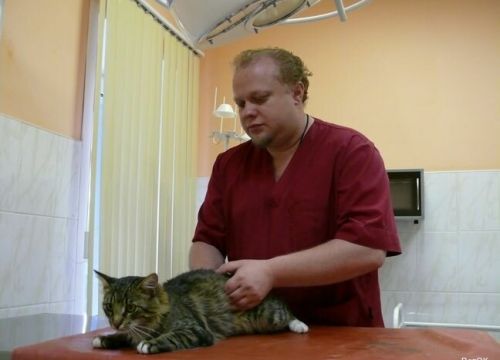 +74953500753 звонок из ВетОК