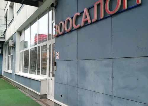 +74953670247 звонок из Шарлотт & Мегг