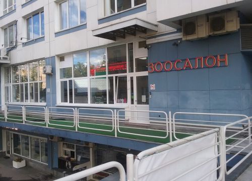 +74953670247 звонок из Шарлотт & Мегг