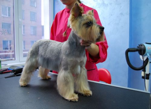 +74953670247 звонок из Шарлотт & Мегг