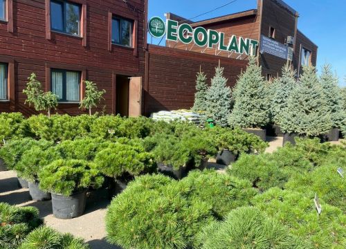 +74953745728 звонок из Экоплант