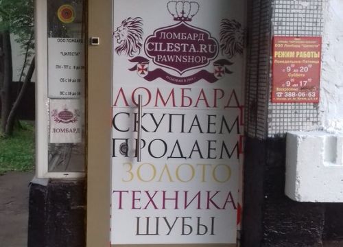 +74953880663 звонок из Цилеста