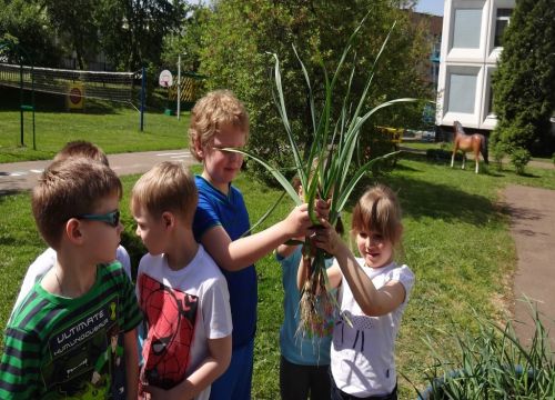 +74954130074 звонок из Детский сад № 1599