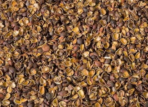 +74954141006 звонок из Экоторг