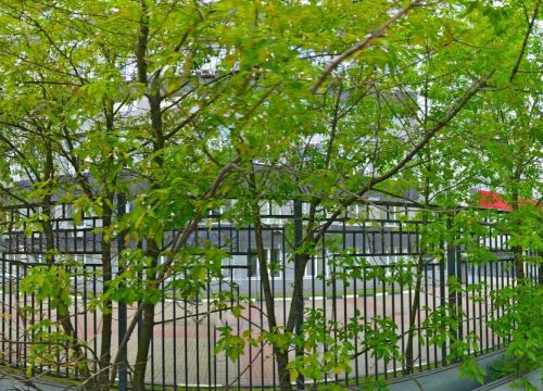 +74954141430 звонок из Юкола-инфо Софт