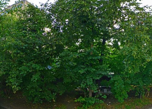 +74954810123 звонок из Процесс-лайн