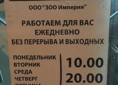 +74954831132 звонок из Зооимперия