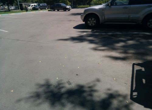 +74955021001 звонок из Парковка ТЦ Metro Cash&Carry