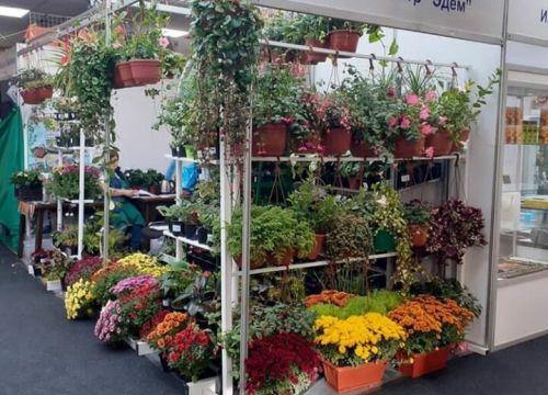 +74955090189 звонок из Экспо-Одинцово