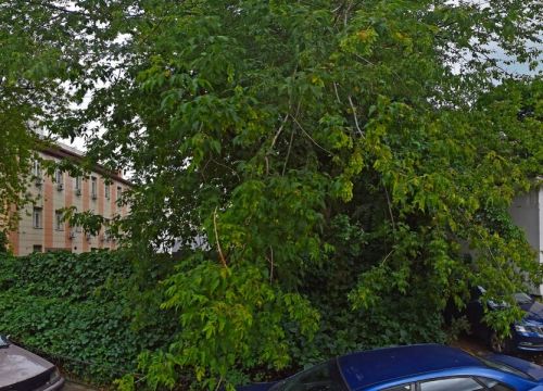 +74956320032 звонок из Унилинк