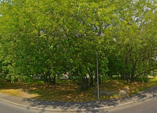 +74956320035 звонок из Скейт-парк