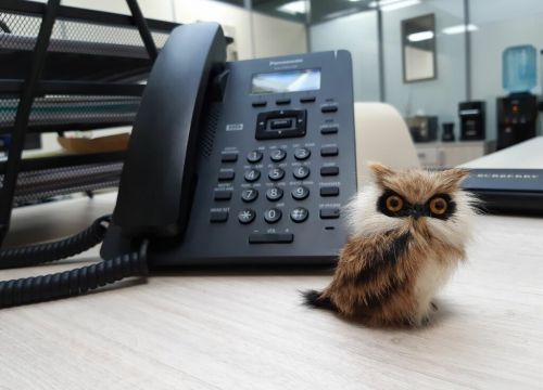 +74956460037 звонок из Сьют энд Кейс