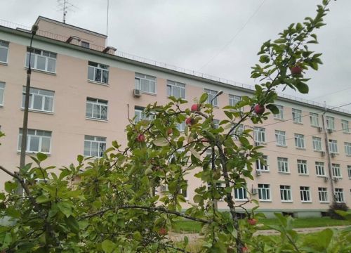 +74957214985 звонок из ГБУЗ МО Центральная клиническая психиатрическая больница филиал Медное-Власово