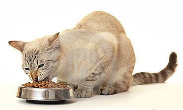 +74957290988 звонок из Мультикорм