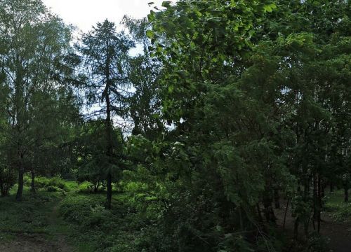 +74957330505 звонок из Каток с натуральным льдом