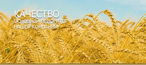 +74957420280 звонок из Там-там