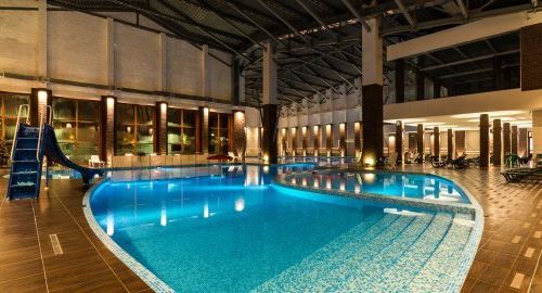 +74957800008 звонок из Self club