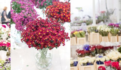 +74957820030 звонок из Starlight