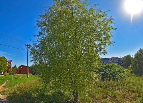 +74957830220 звонок из Форте-СиТи