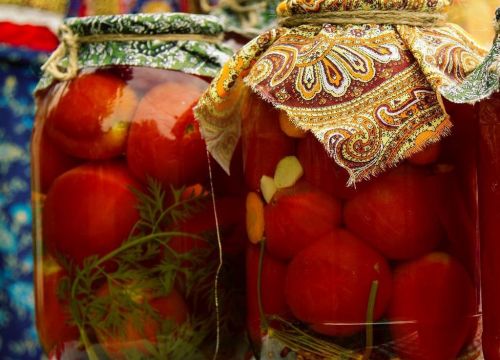 +74957832626 звонок из Где Тревел