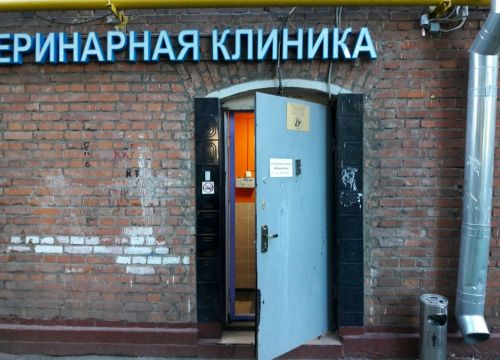 +74957835684 звонок из Айболит Плюс