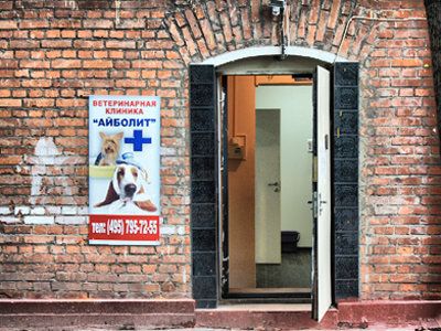 +74957835684 звонок из Айболит Плюс