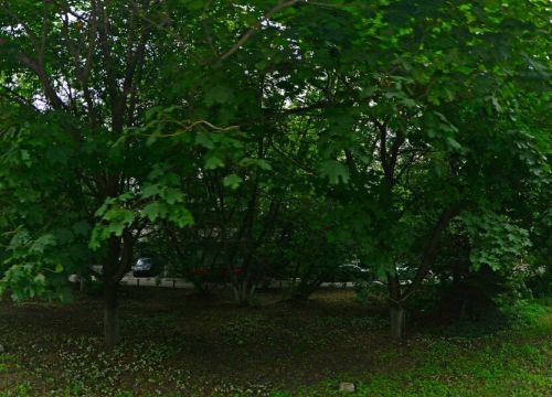 +74957852047 звонок из Управление механизации Ремпуть