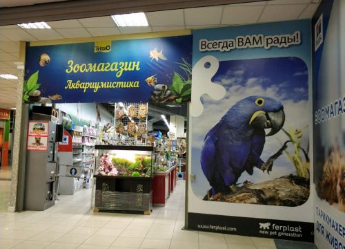 +74957870744 звонок из Друг