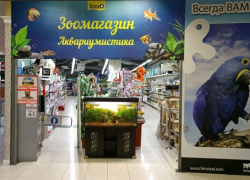 +74957870744 звонок из Друг