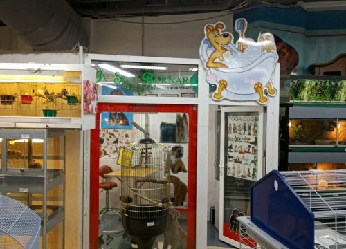 +74957870744 звонок из Друг