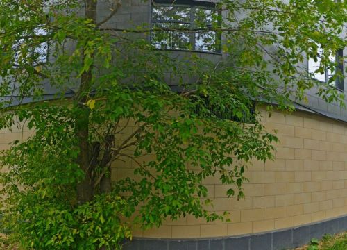 +74957879828 звонок из Торговый совет Гонконга