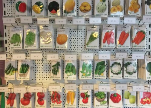 +74957880927 звонок из Сады Азии