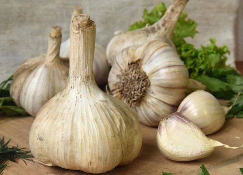 +74957894643 звонок из Русский Огород