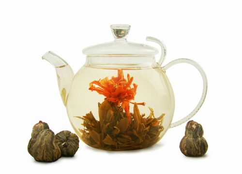 +74957894793 звонок из Слон