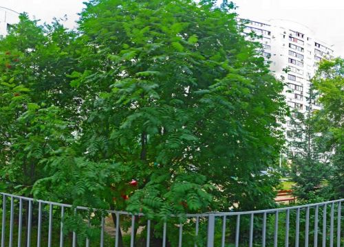 +74957960022 звонок из Детские деревни-SOS