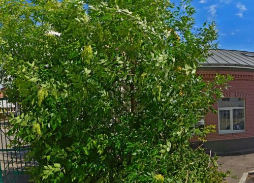 +74958990045 звонок из Кристалист