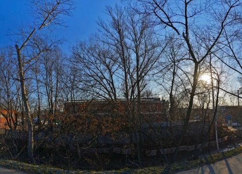 +74959601339 звонок из Flavia