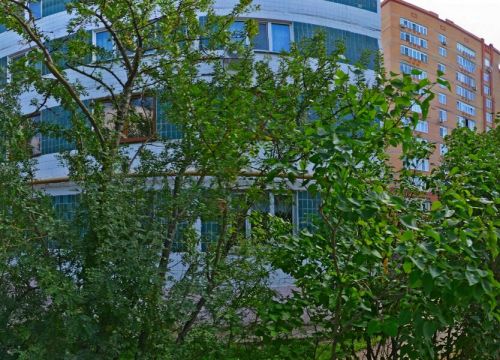 +74962231677 звонок из Главное бюро медико-социальной экспертизы по Московской области