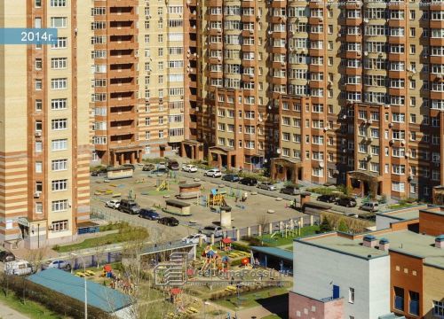 +74986003350 звонок из Pro-Language