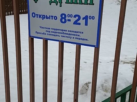 +74986003411 звонок из Дубки