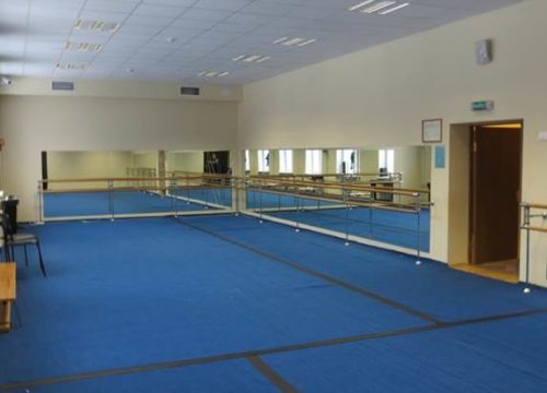 +74991333248 звонок из ГБОУ ЦСиО Самбо-70 отделение Олимпия