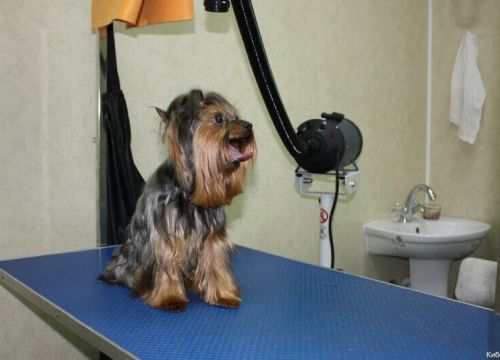 +74991873057 звонок из Кибела