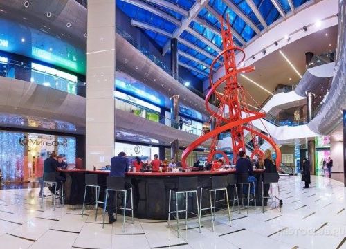 +74992860009 звонок из Buba by Sumosan