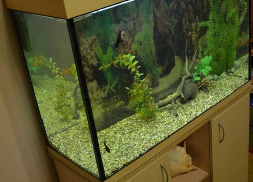 +74993229693 звонок из Zelaqua