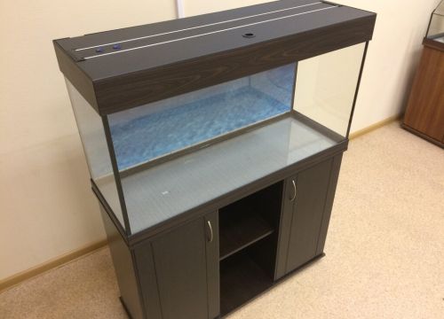 +74993229693 звонок из Zelaqua