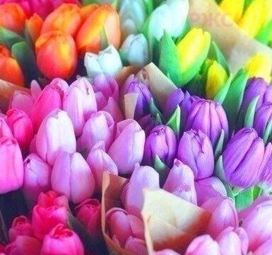 +74993910192 звонок из Агентство организации событий BestWed