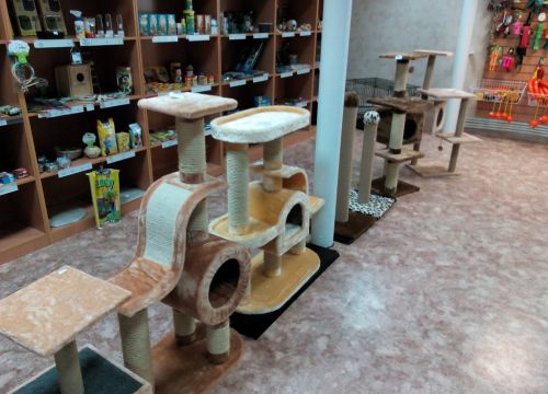 +74994631412 звонок из Мир питомцев