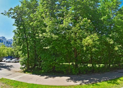 +74994631601 звонок из Рафт