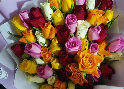 +74994901090 звонок из Magical Flower