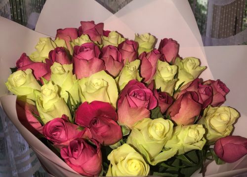 +74994901090 звонок из Magical Flower